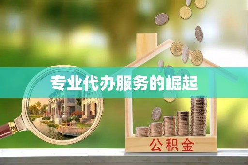 永清专业代办服务的崛起