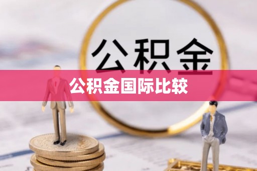 永清公积金国际比较